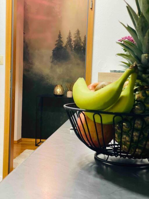 Ruhige Wohnung Im Schwarzwald Villingen-Schwenningen Exteriér fotografie